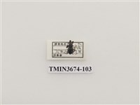 藏品(象鼻蟲(2))的圖片